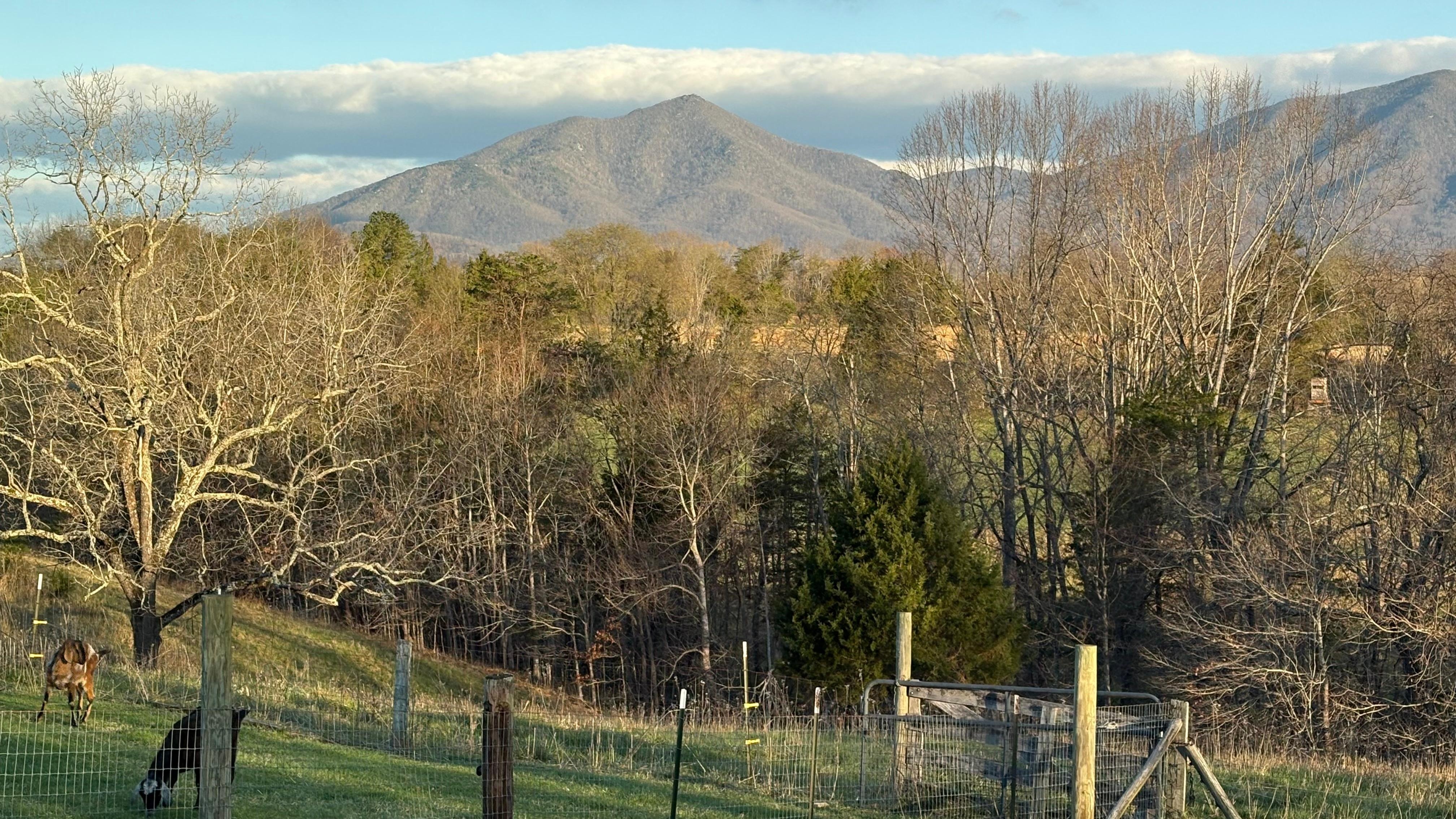 Views from back deck 