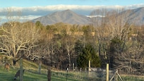 Views from back deck