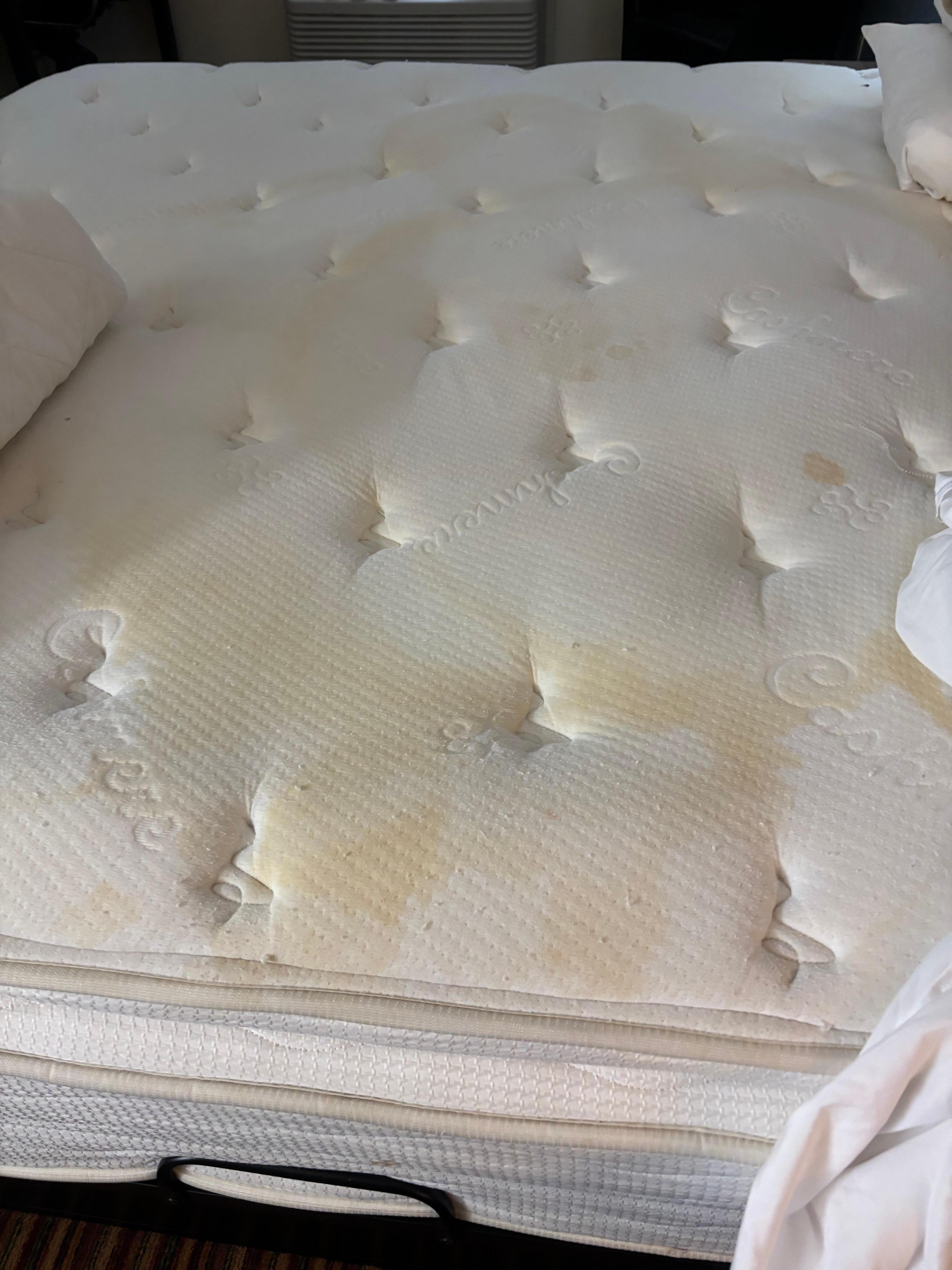 This was the mattress cover underneath the sheets