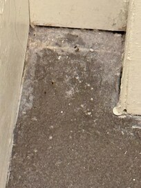 It looks as though someone threw up in the corner of the bathroom.