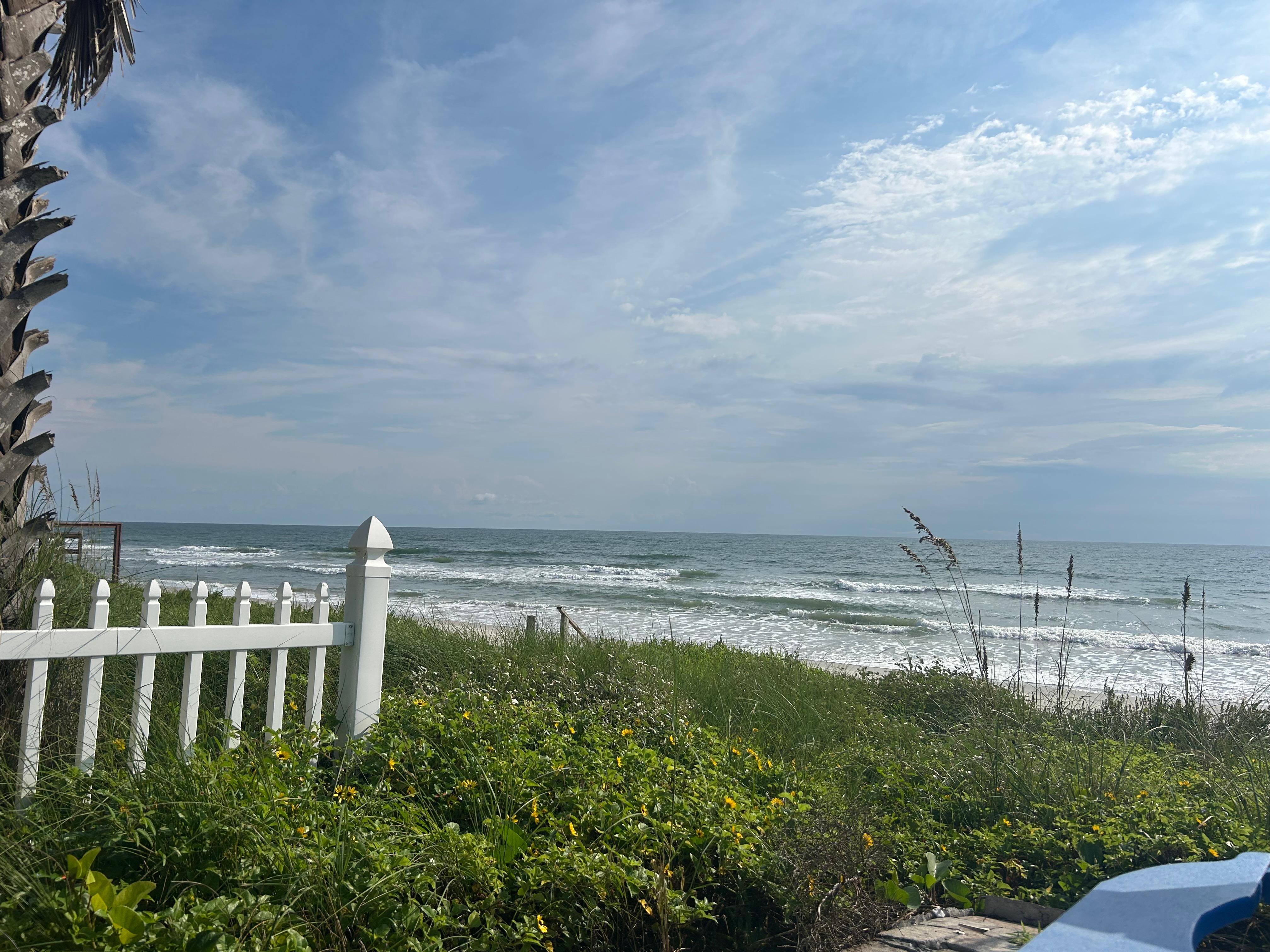 View from the backyard while reading a book and listening to the waves. 