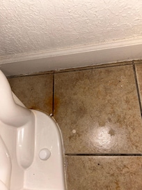 Behind toilet