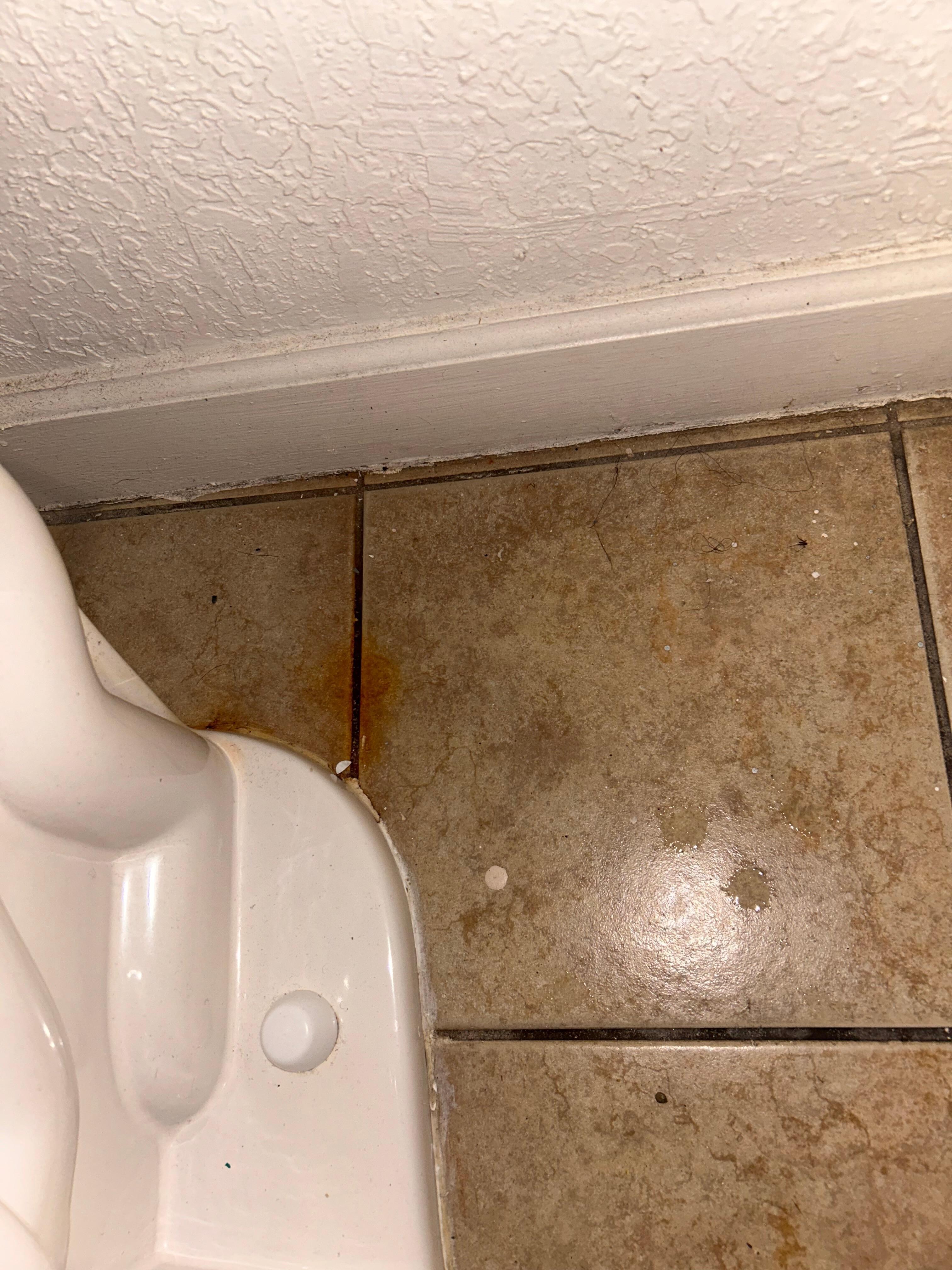 Behind toilet 