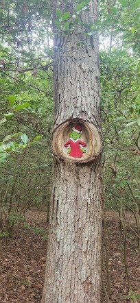 On Tom Rhodes Tree Carving Trail, Warsaw, VA.