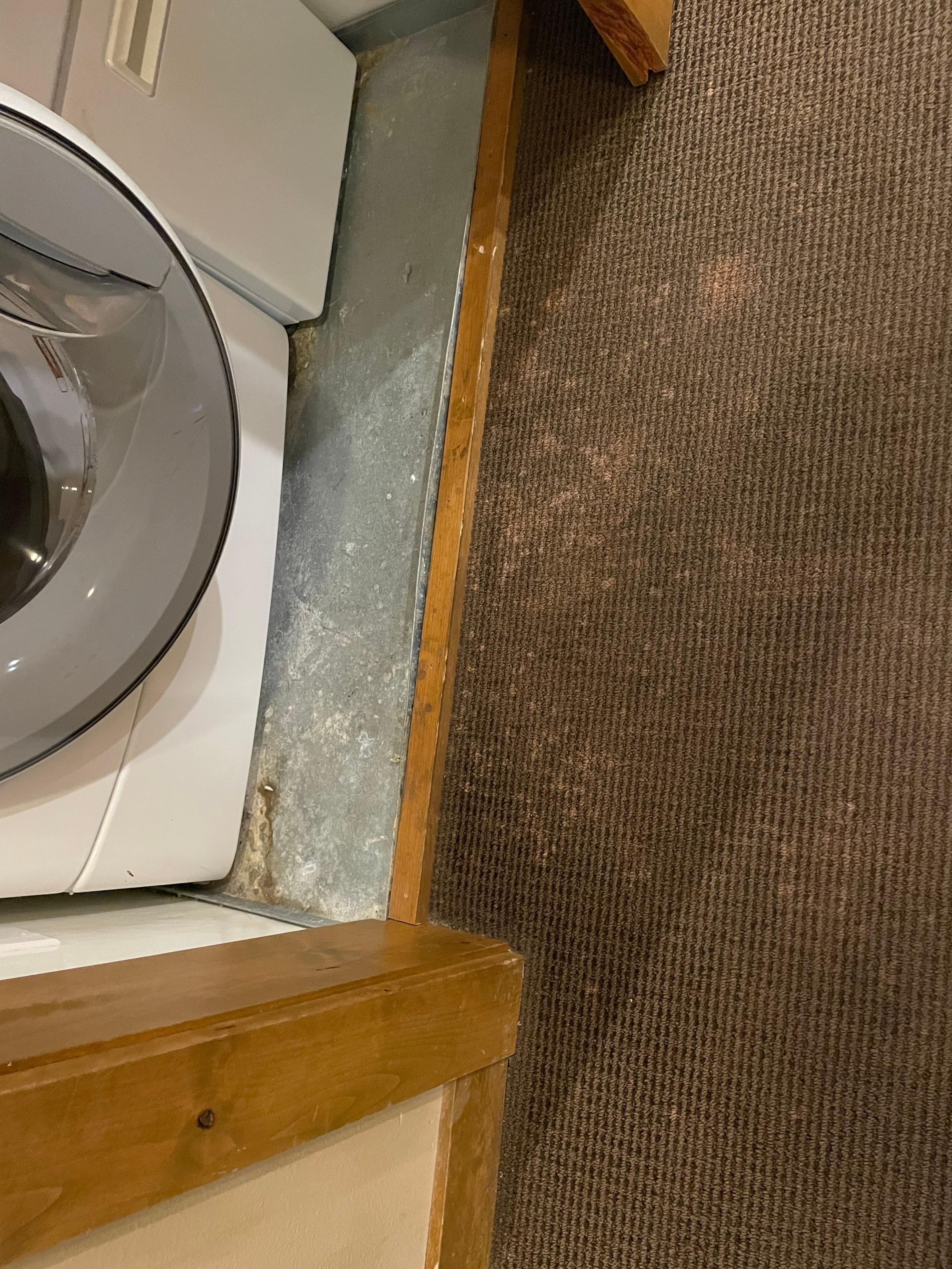 Stained carpet throughout