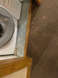 Stained carpet throughout