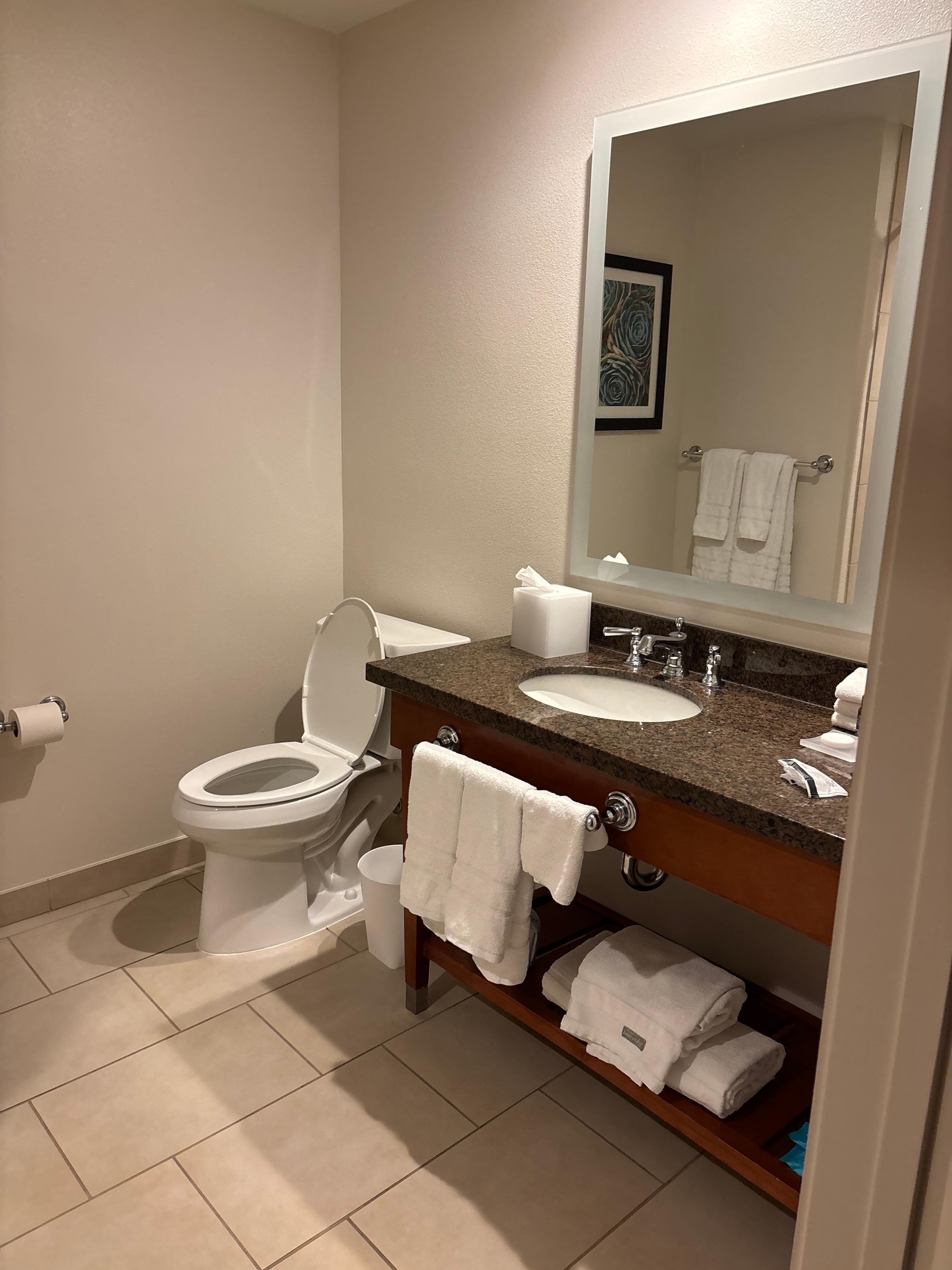 Spacious bathroom 