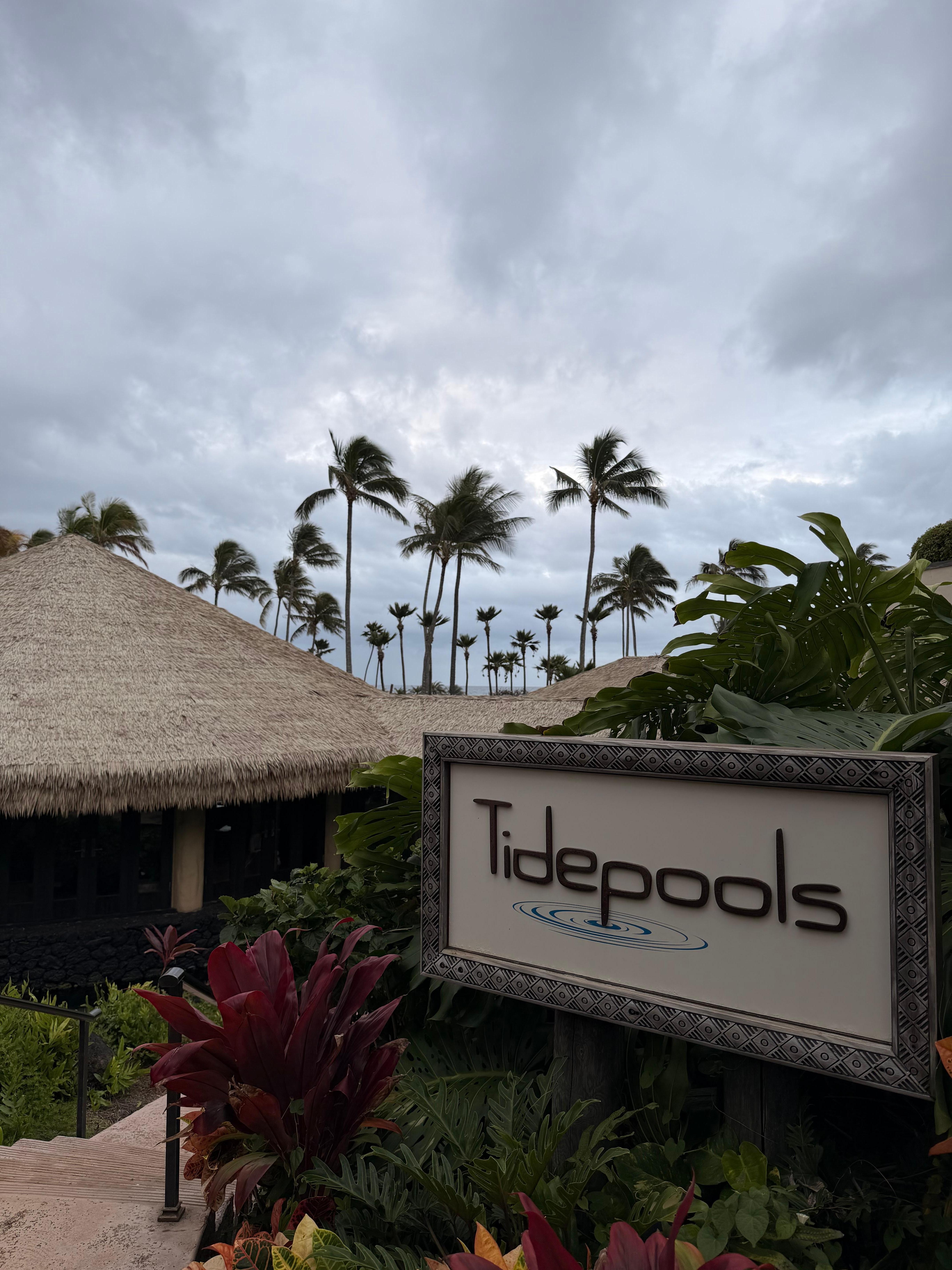 The nice restaurant on property