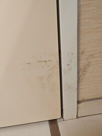 Second room muddy door.