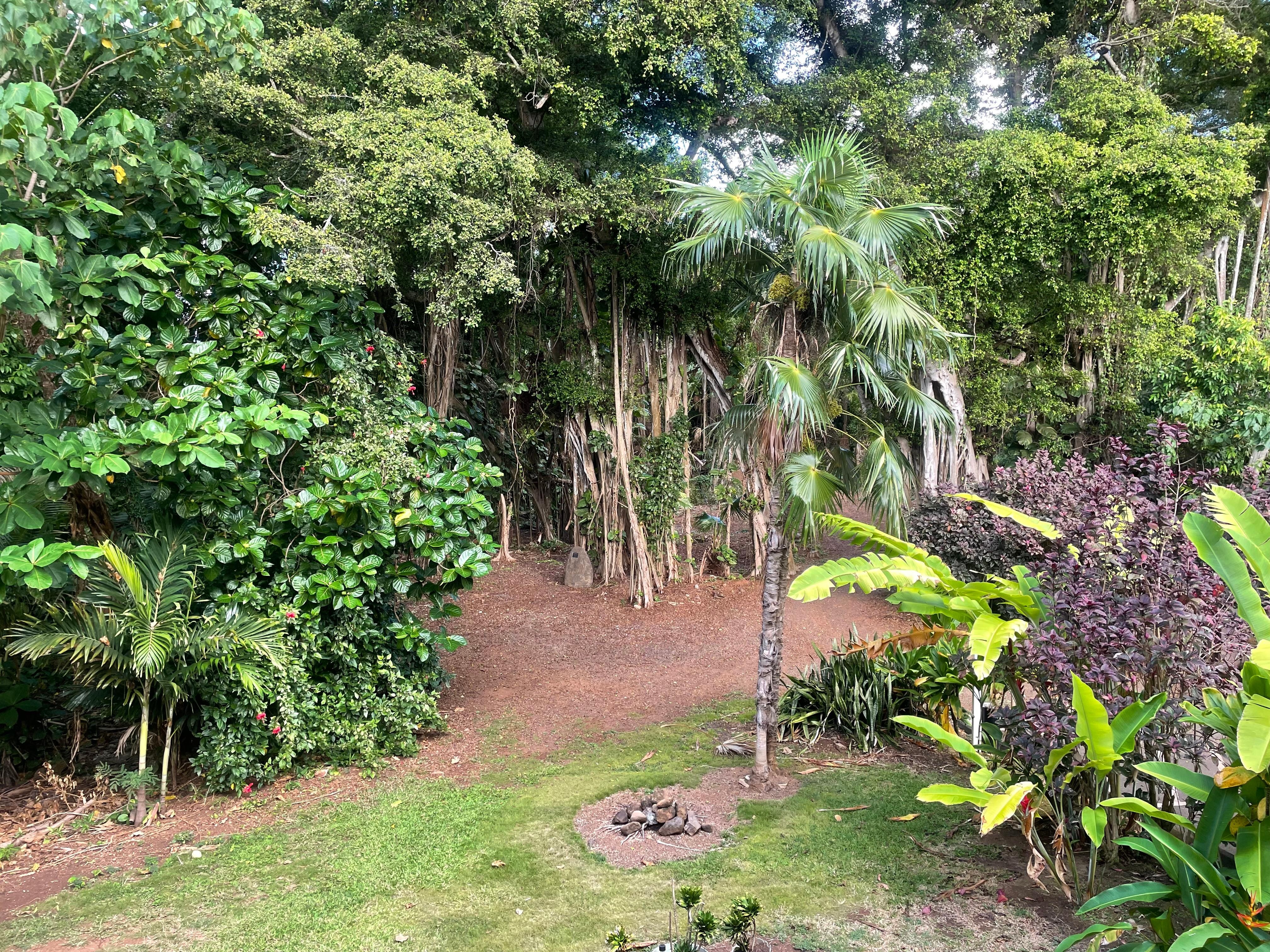 View from rear deck