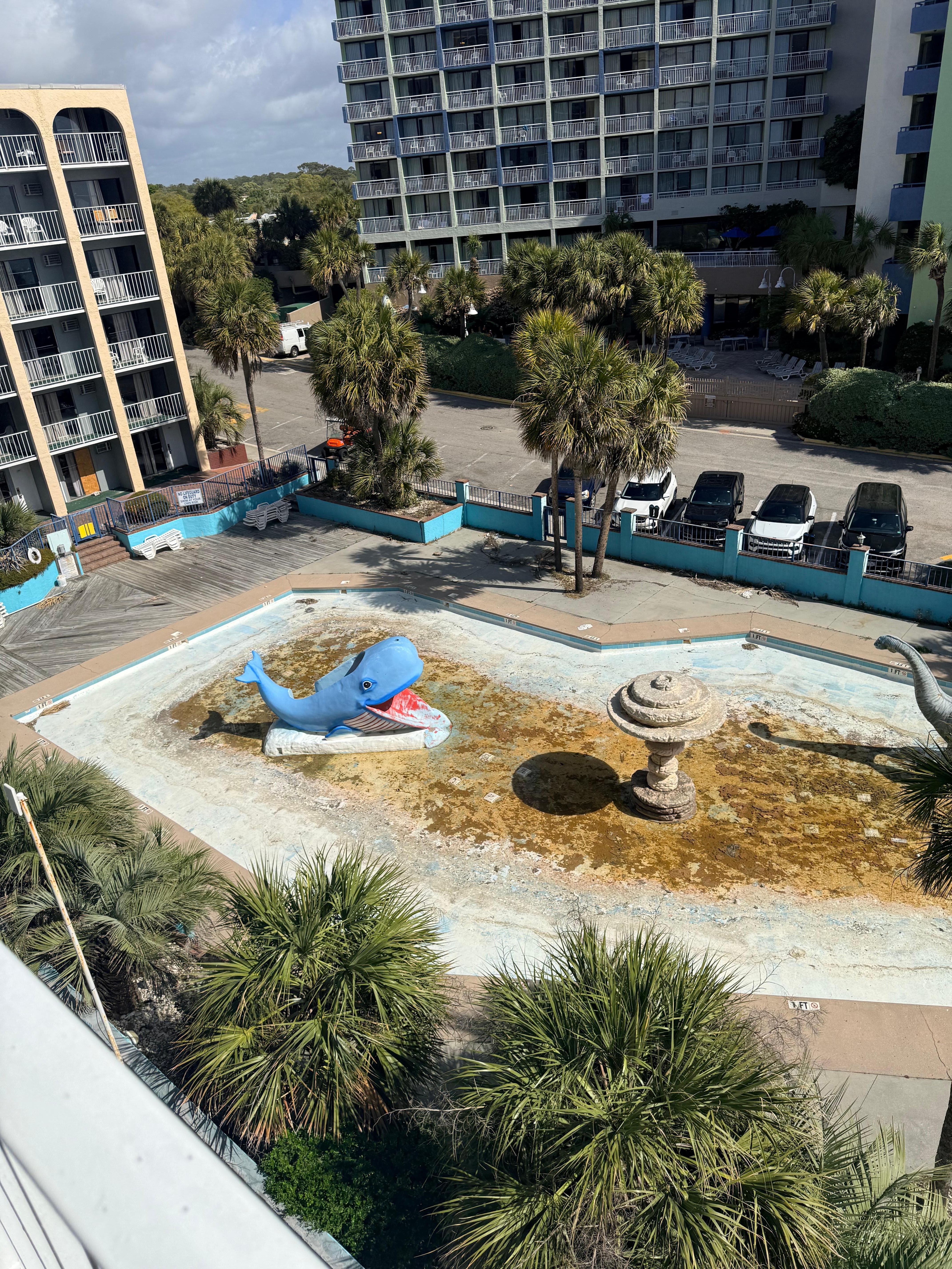 The rusted kitty pool