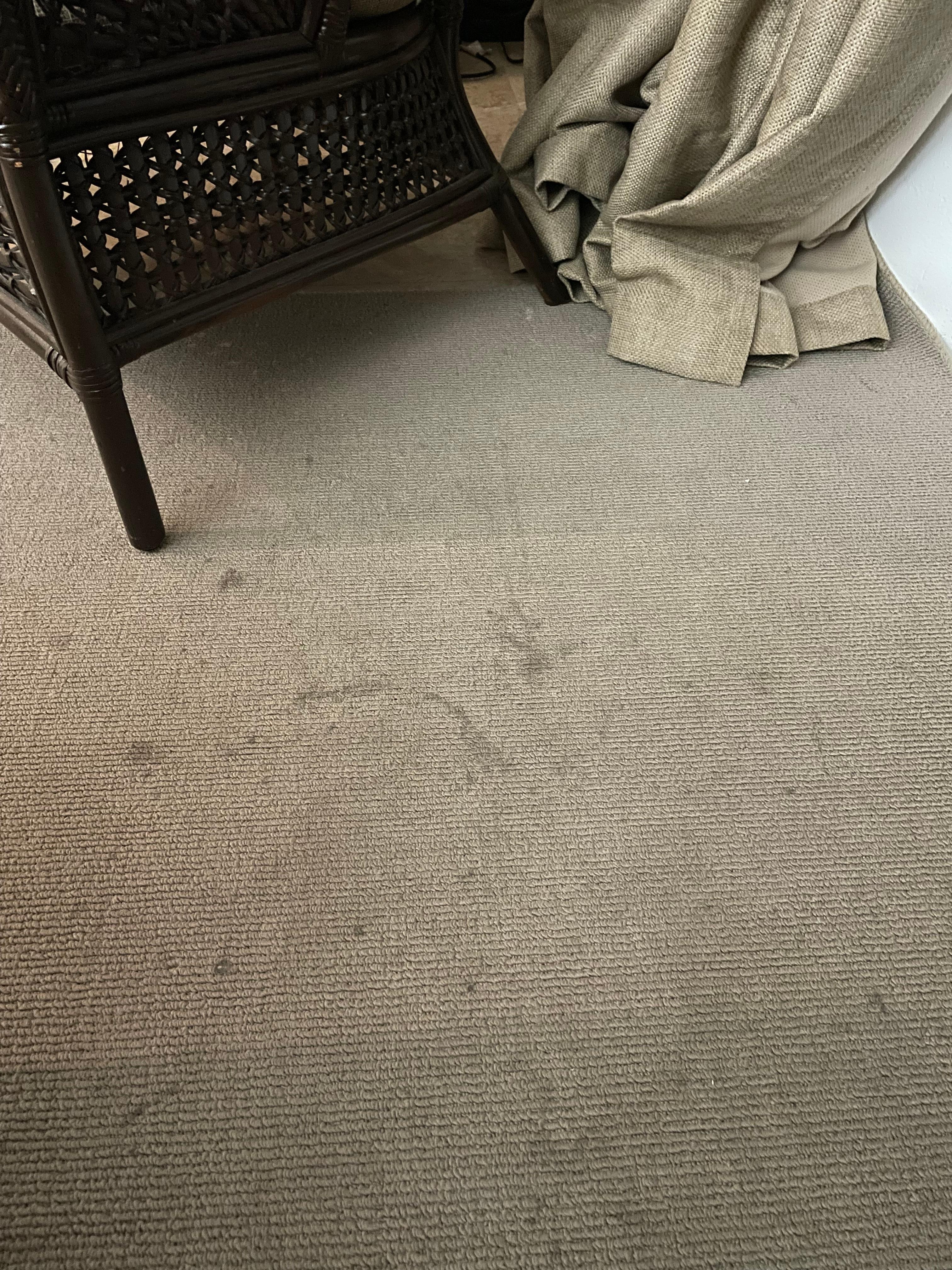 Stained living room rug