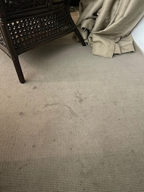 Stained living room rug