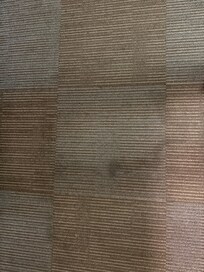 Dirty carpet