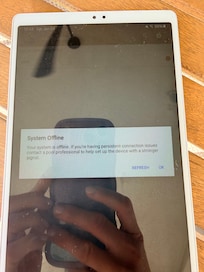 Recurrent system offline error from pool/spa remote