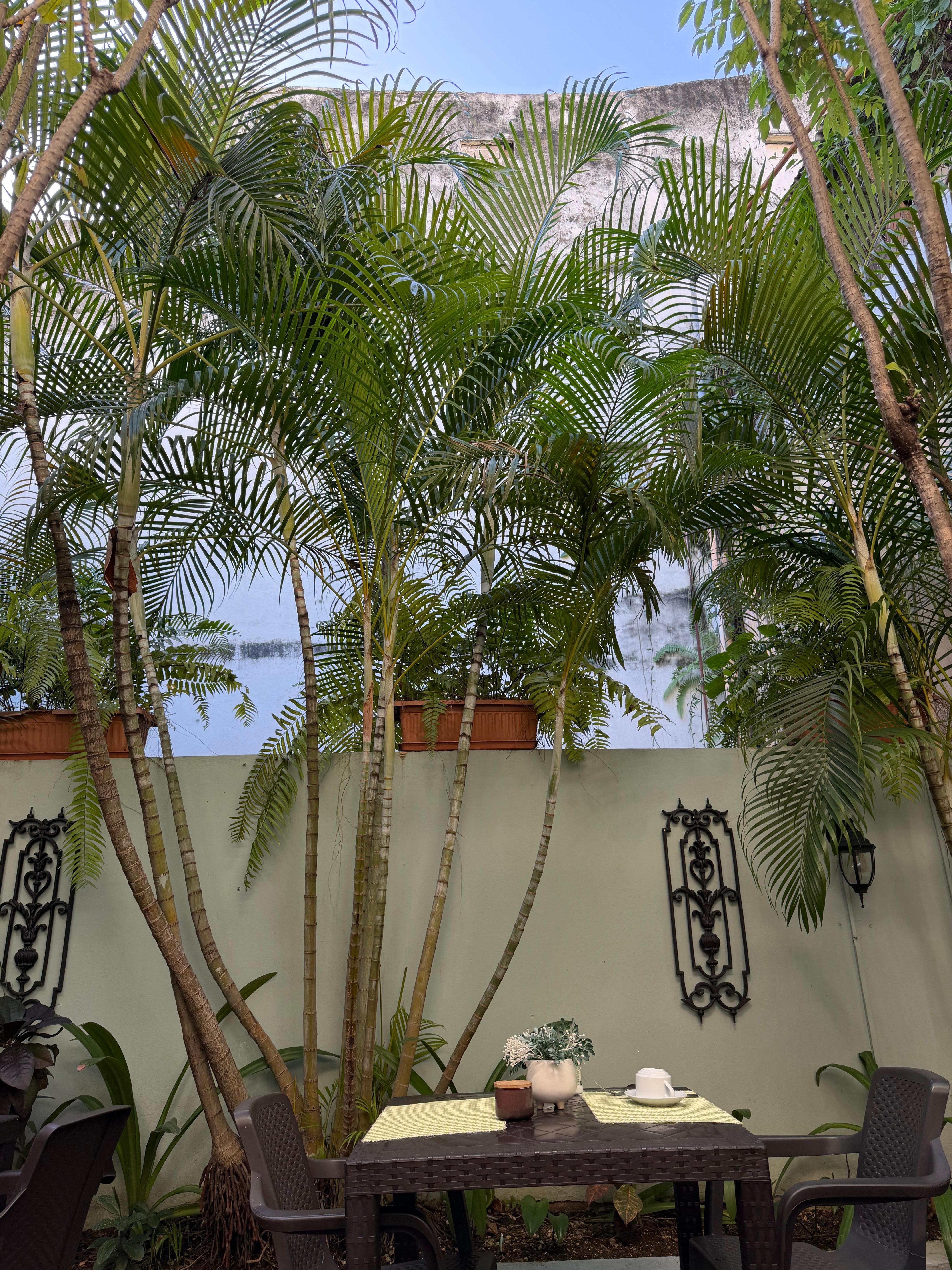 Breakfast space/bar area 