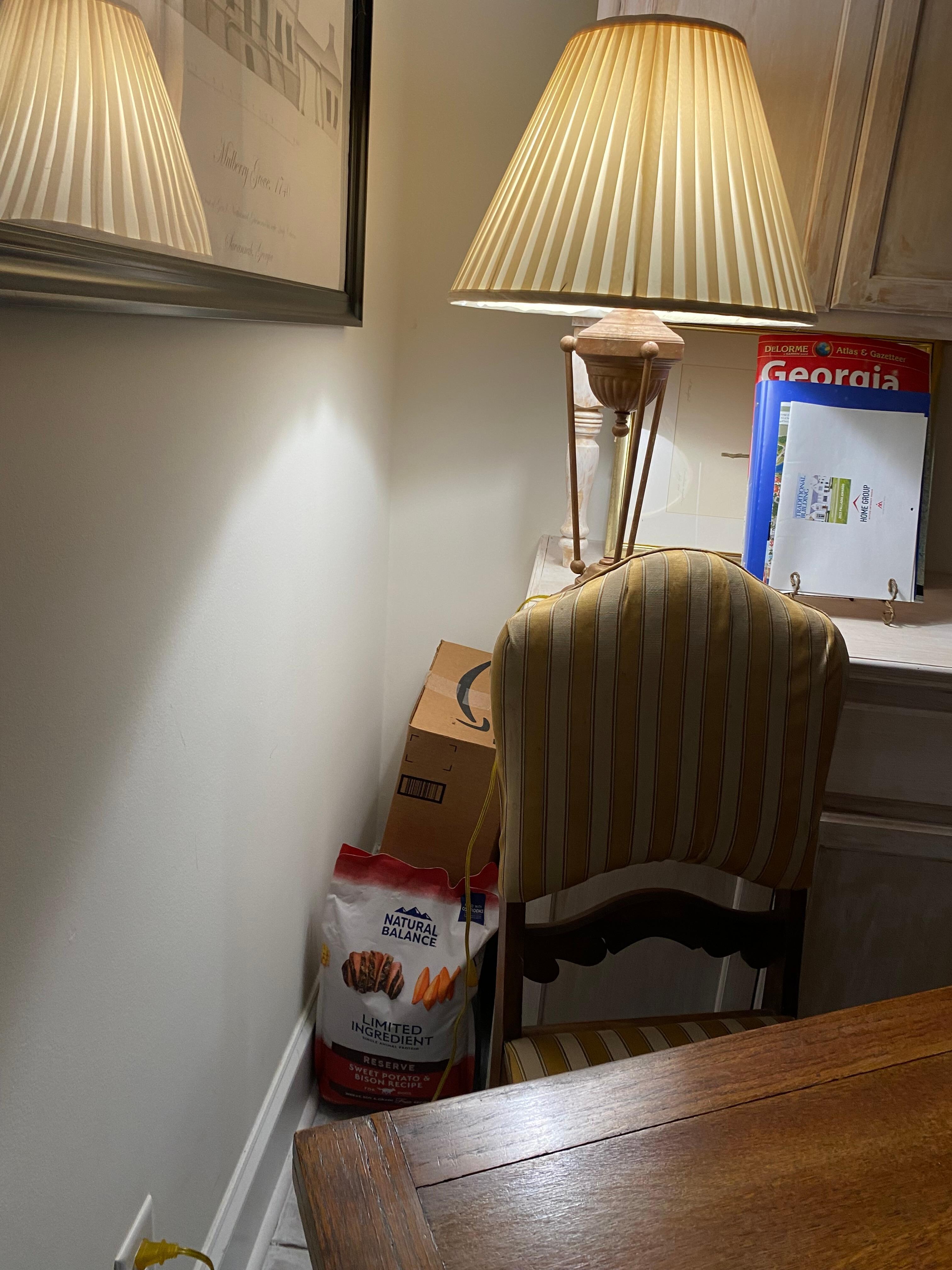 Dog food in main living room
