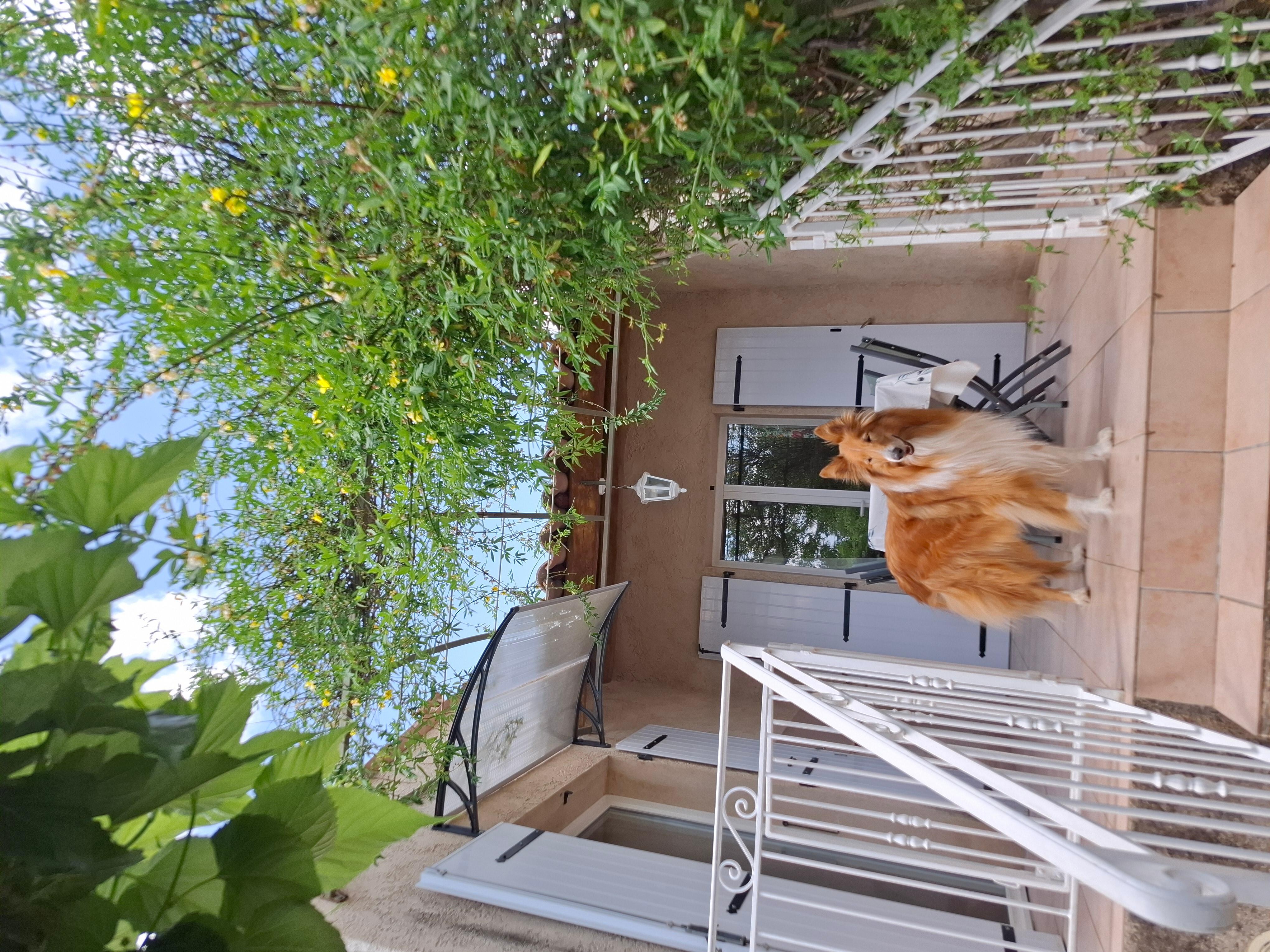 Die tolle Terrasse