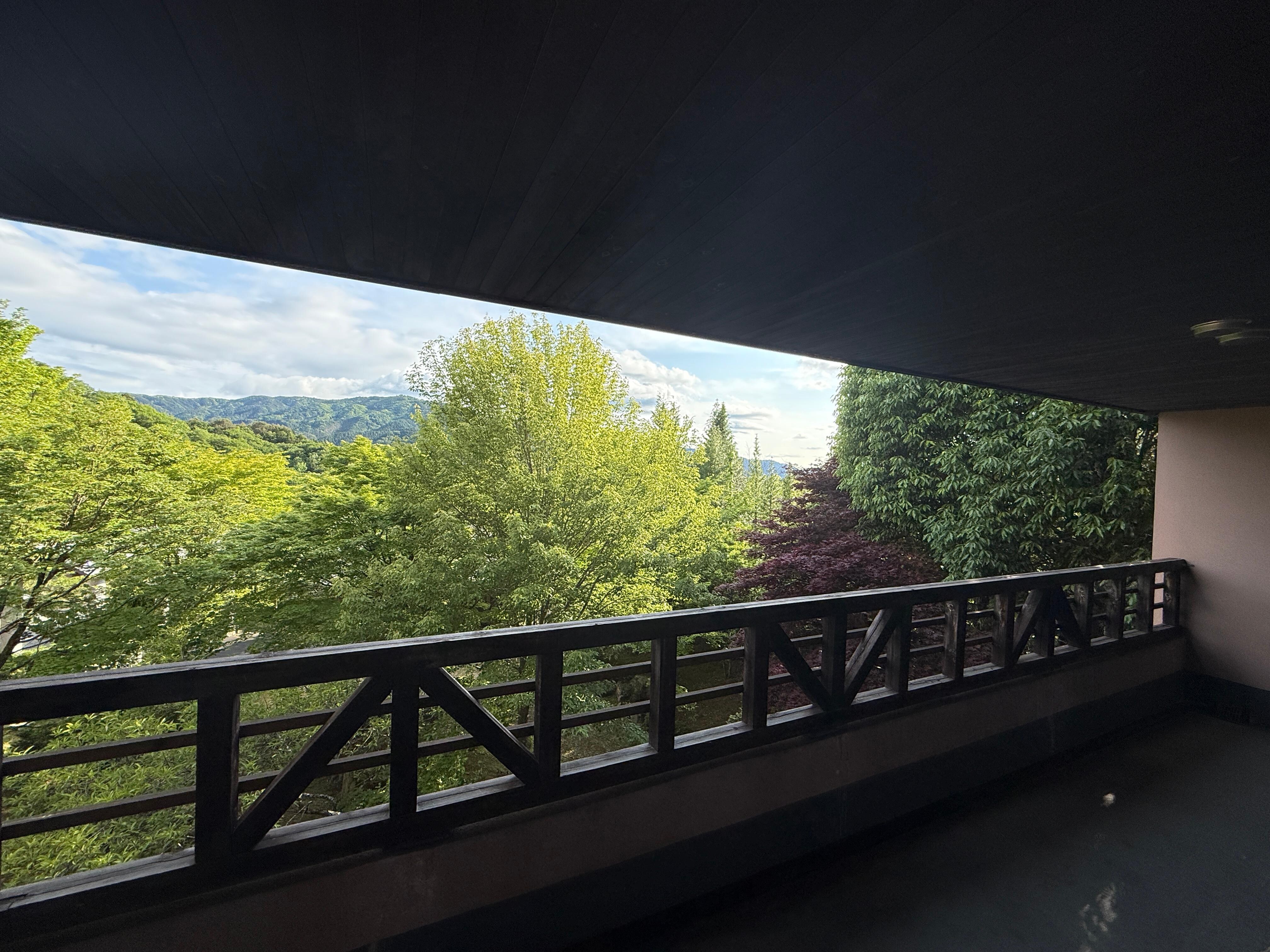 View from the balcony 