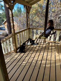 Adorable ski-lift front porch swing.