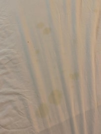 More of the dirty sheets.