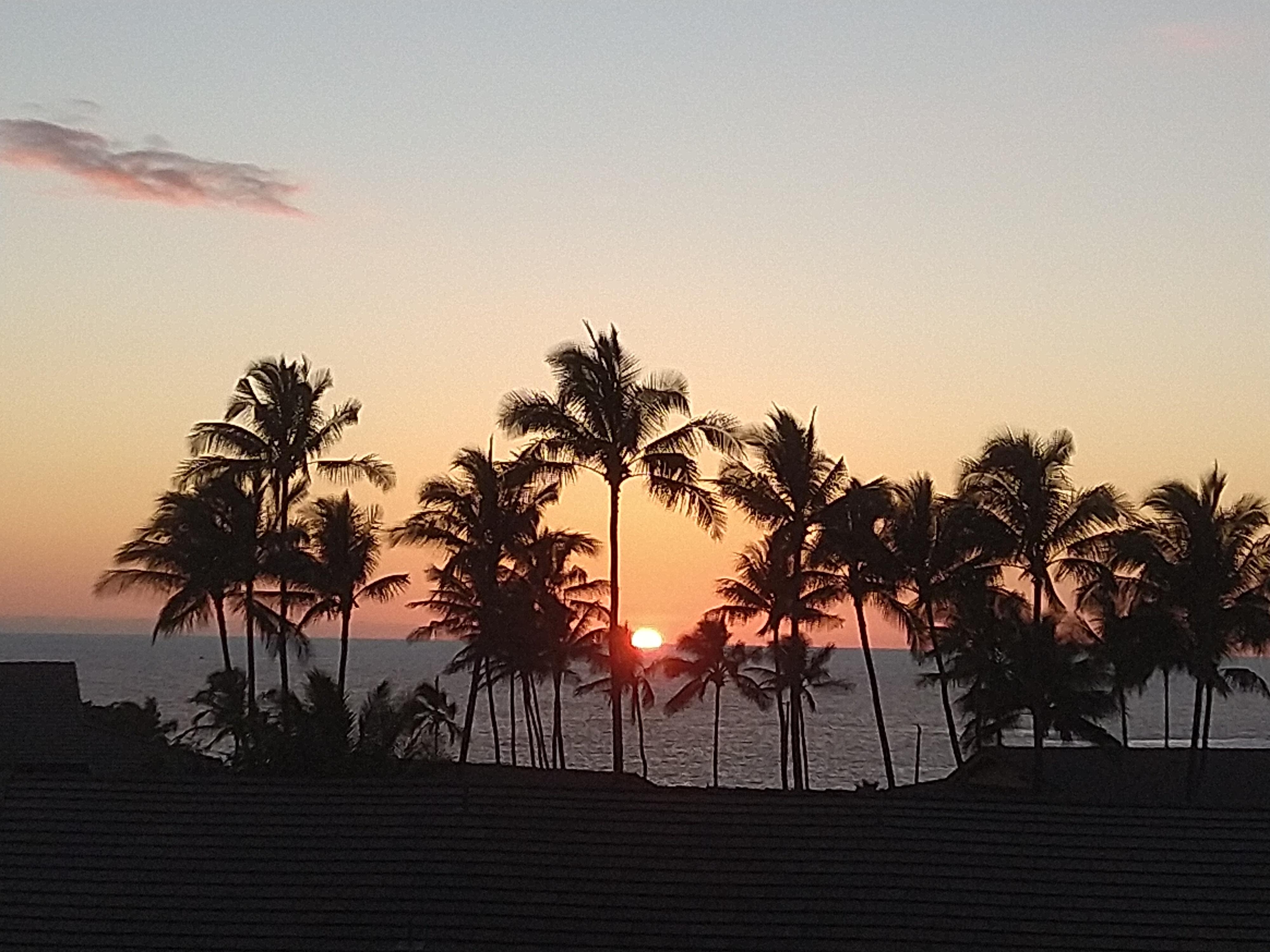 Sunset at the bottom of the heart formed by the palm trees 
