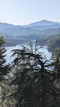 The view was spectacular, especially with how high the water was. You can hear everything going on like you are on the lake, super beautiful and lots of great swimming just down the driveway.