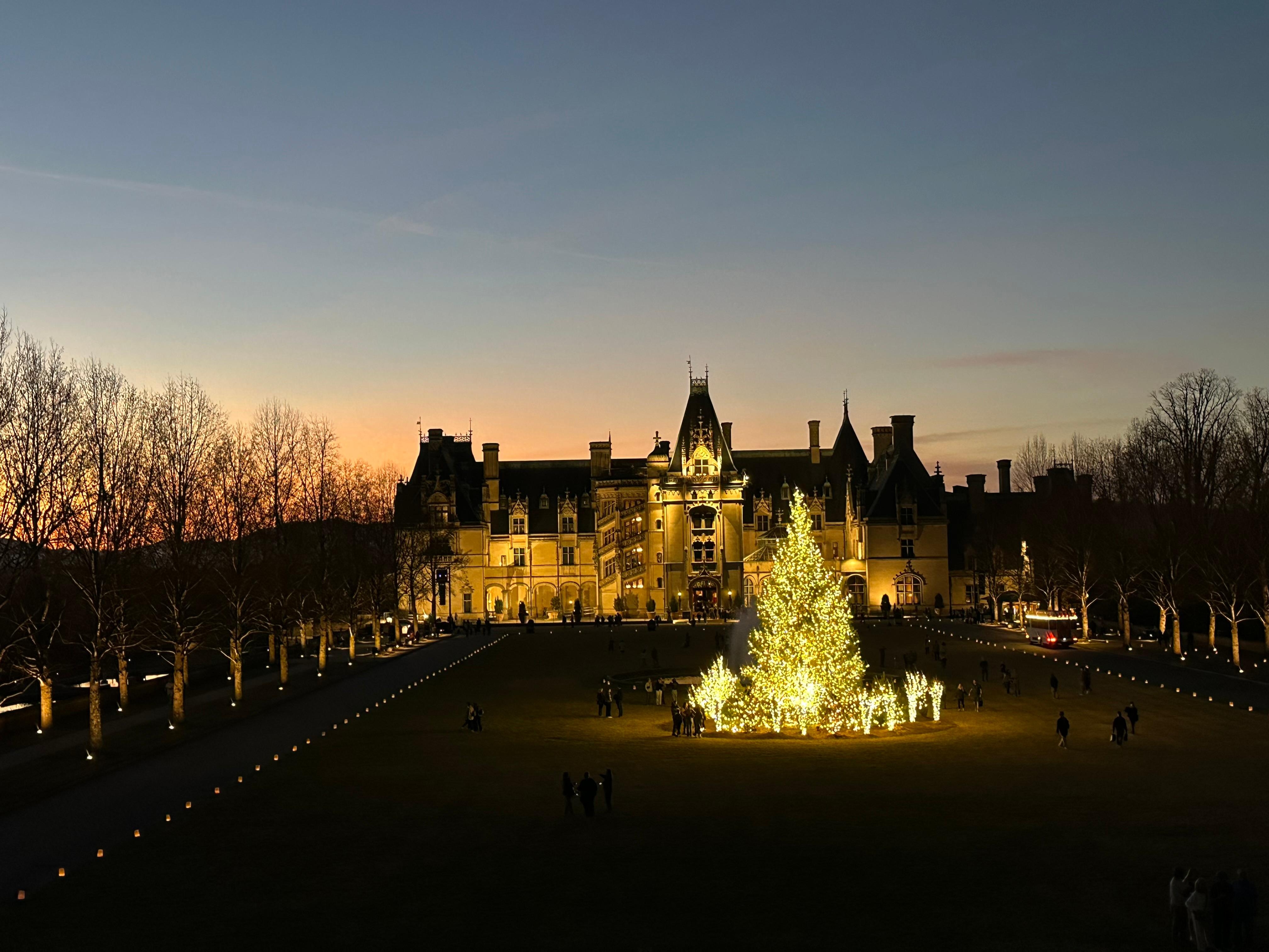 Beautiful lights at Biltmore!