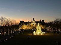 Beautiful lights at Biltmore!