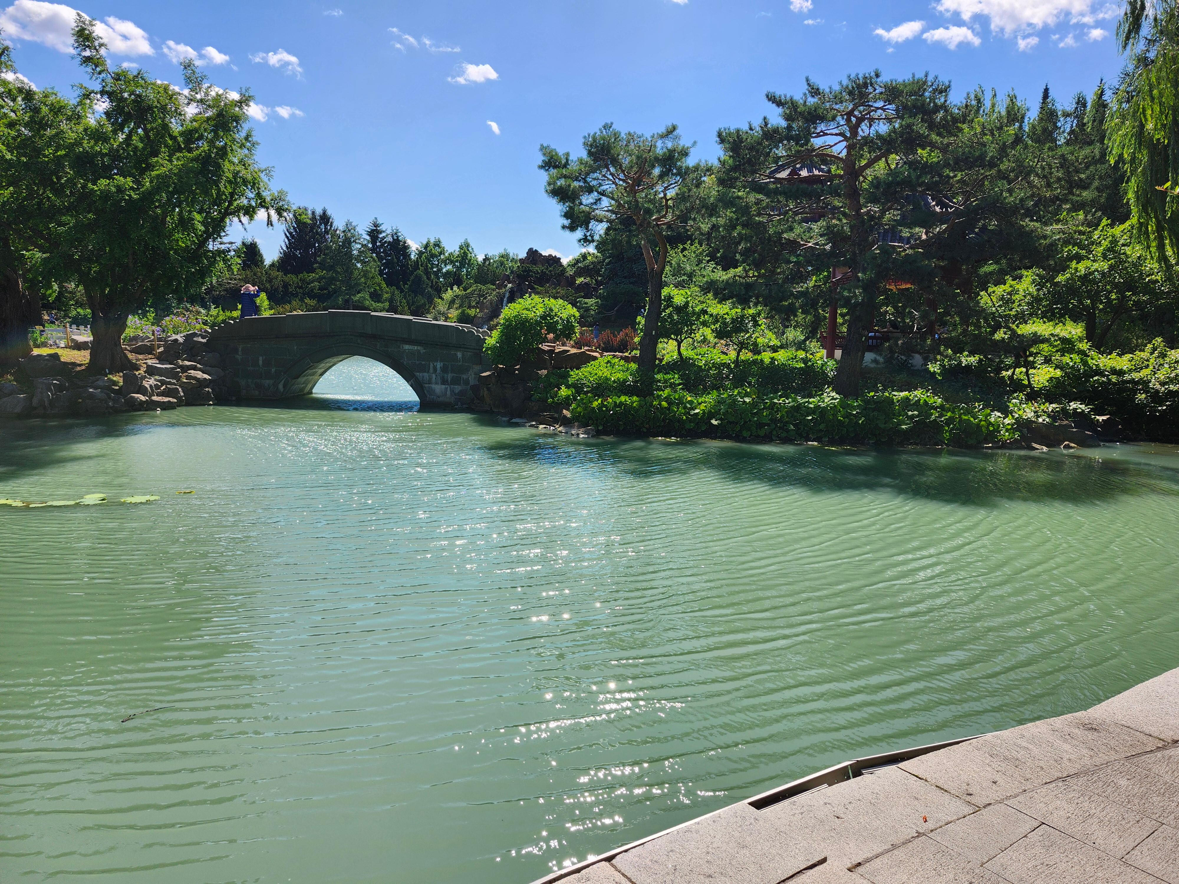 This was at the botanical gardens