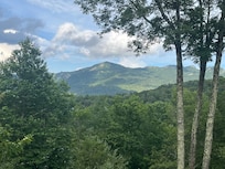 Afternoon on the deck