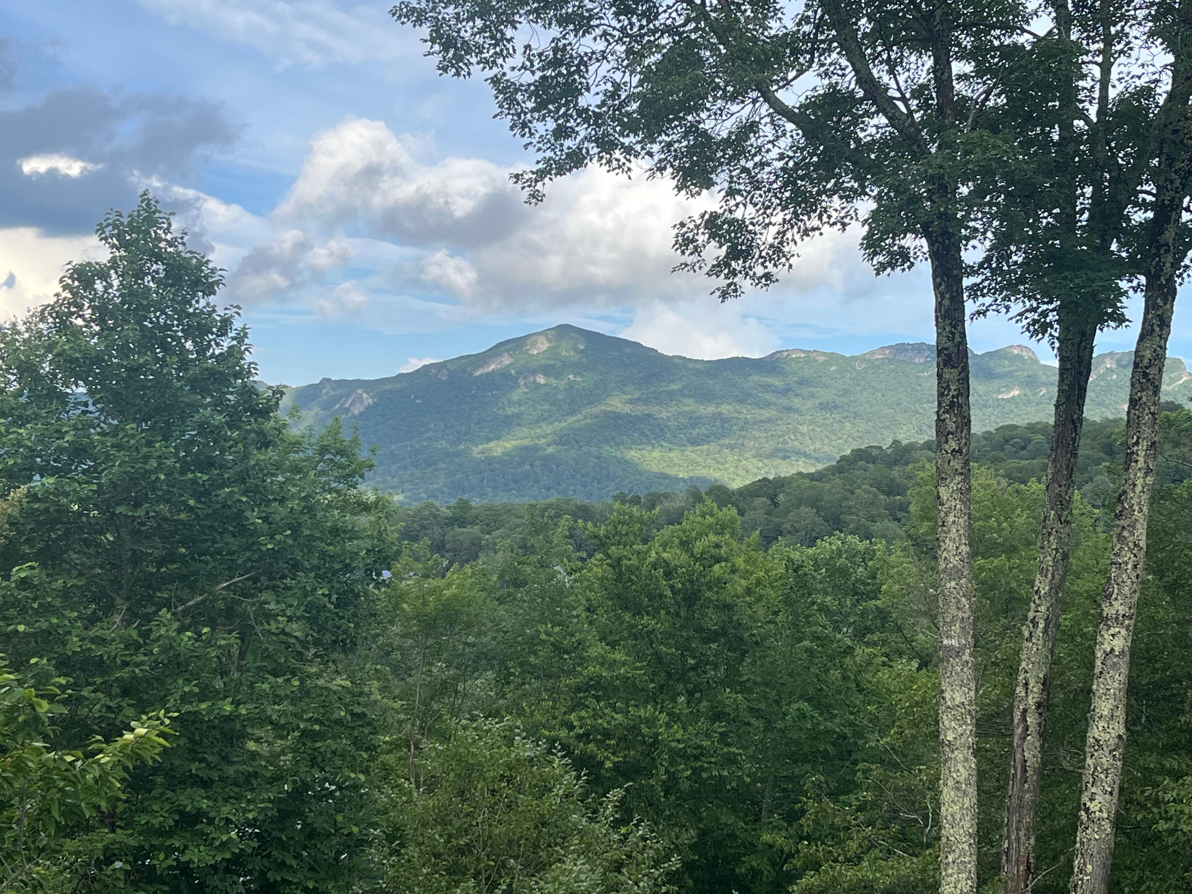 Afternoon on the deck