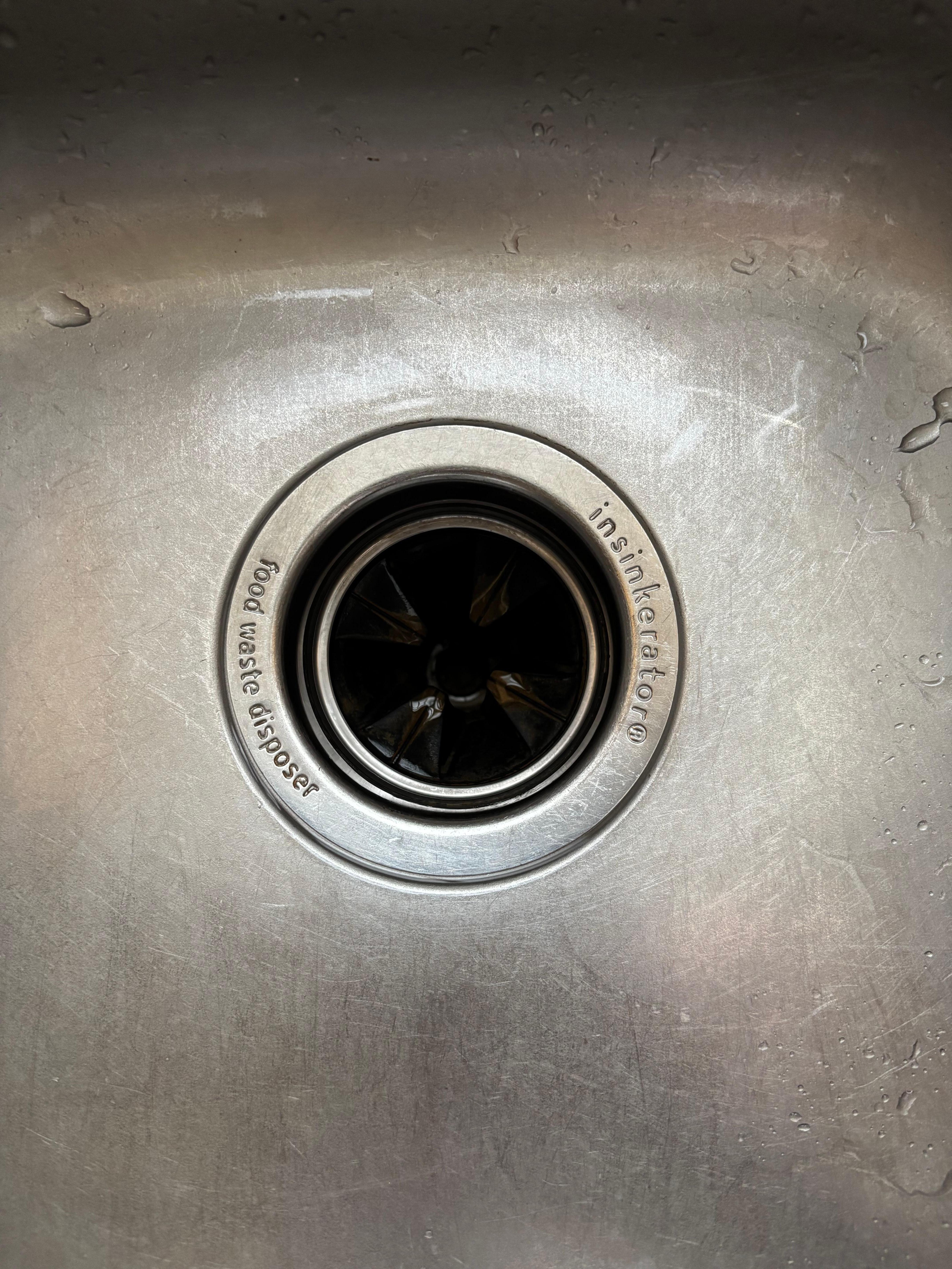 After I cleaned the disposal