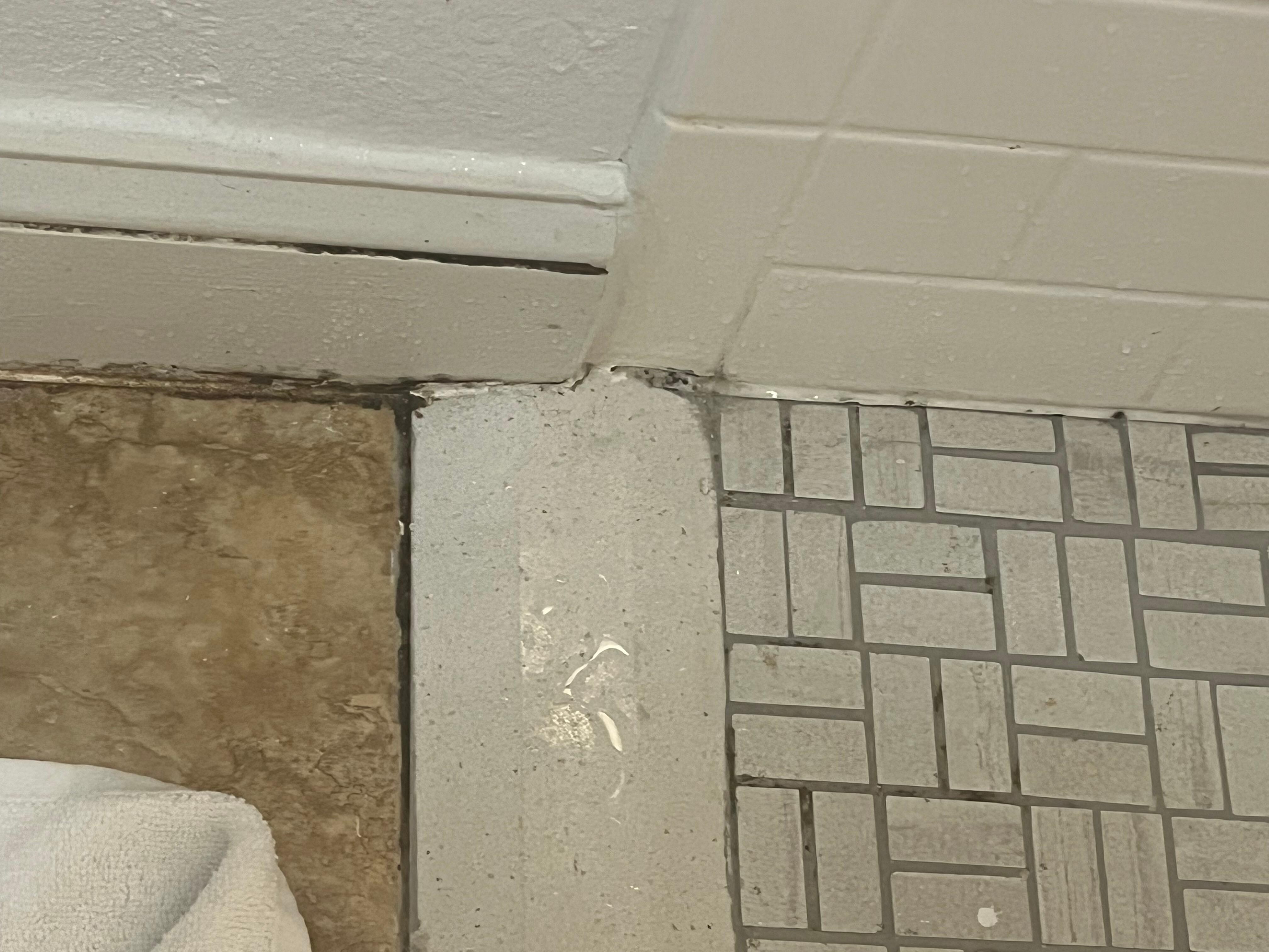 Mold