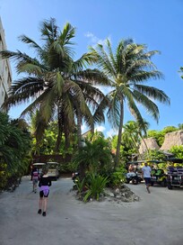 The entrance/parking lot