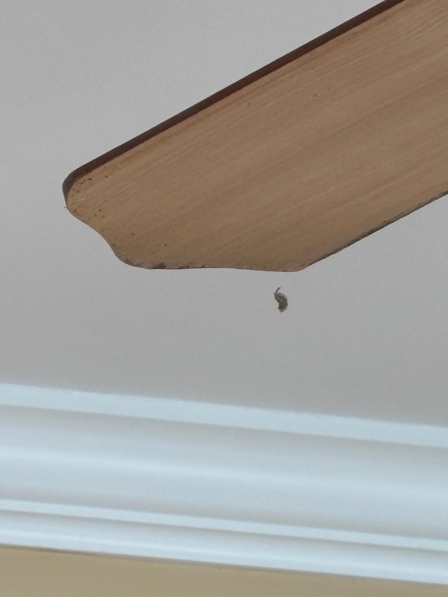 so much dirt on the fan that it hung off