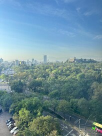Room view overlooking Bosque de Chapultepec.