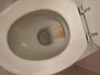 Toilette
