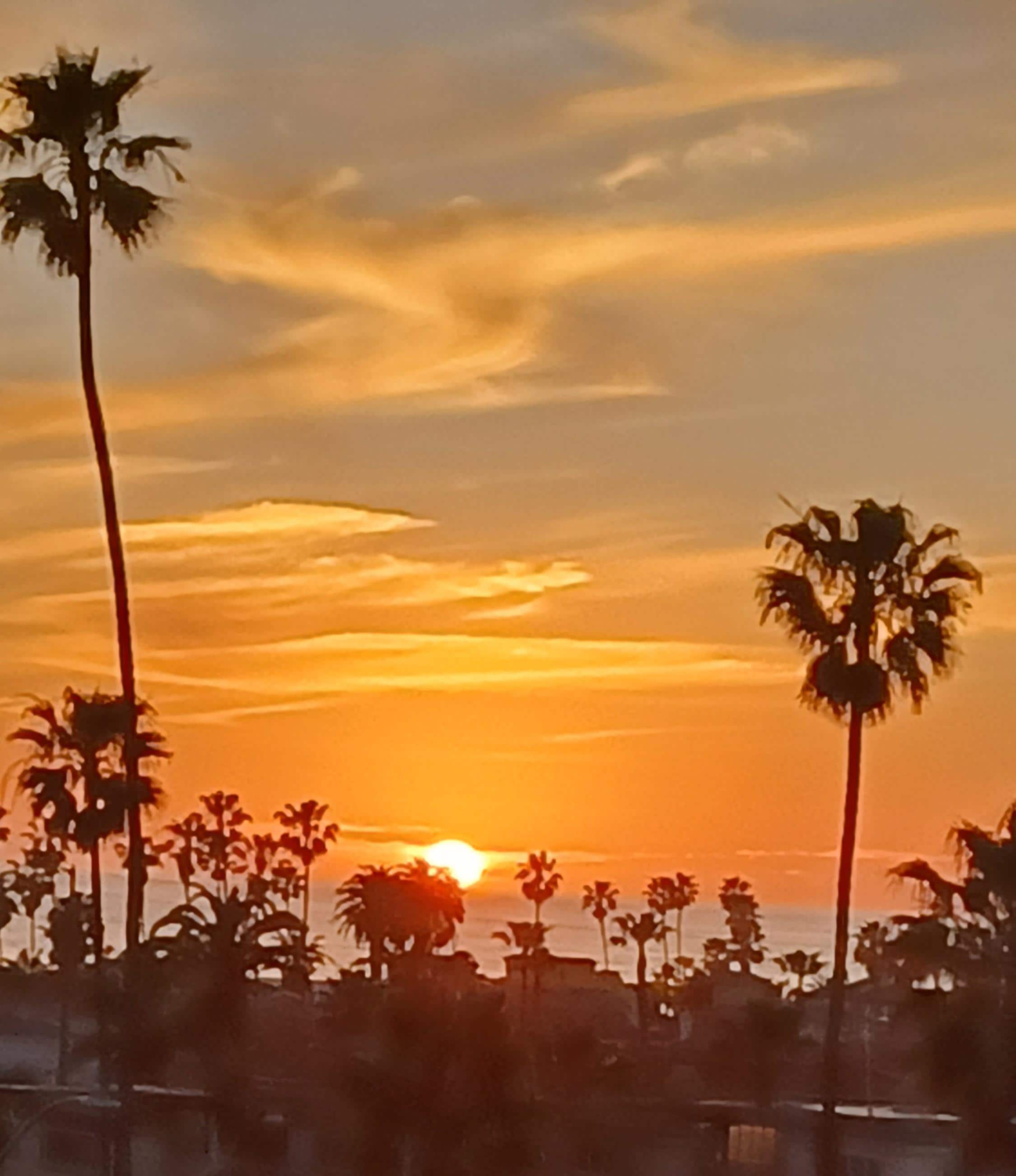 Sunset view from rooftop deck.