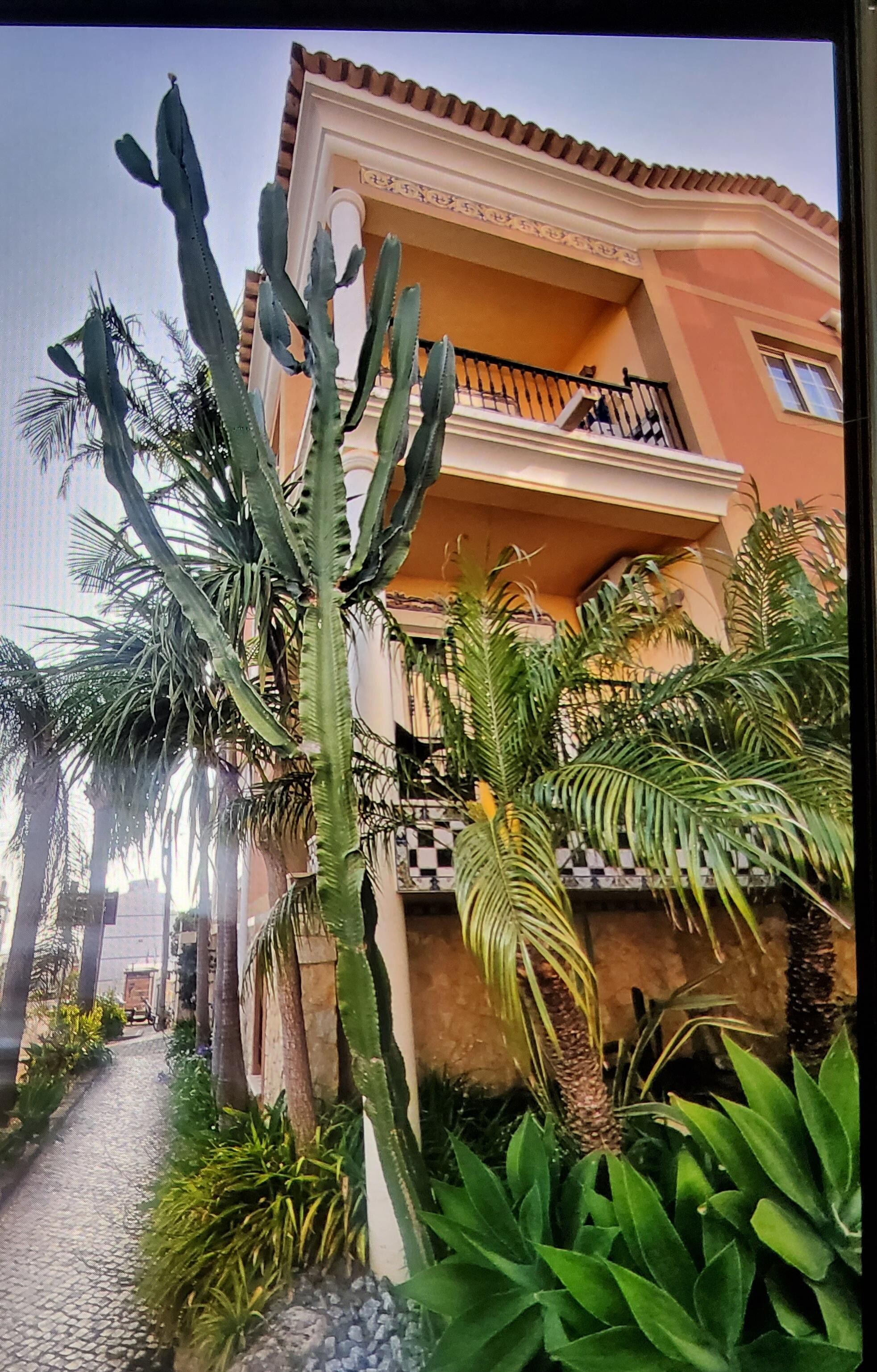 Beautiful landscaping 