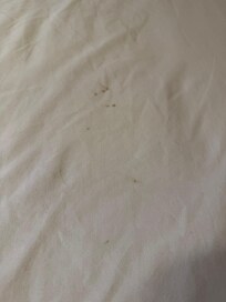 Bio stains on sheets