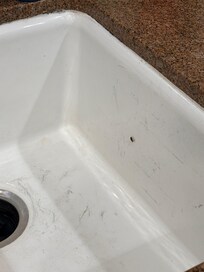 that’s just one baby roach when we came home an afternoon at night about 10 come out