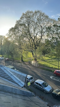 view from my room
