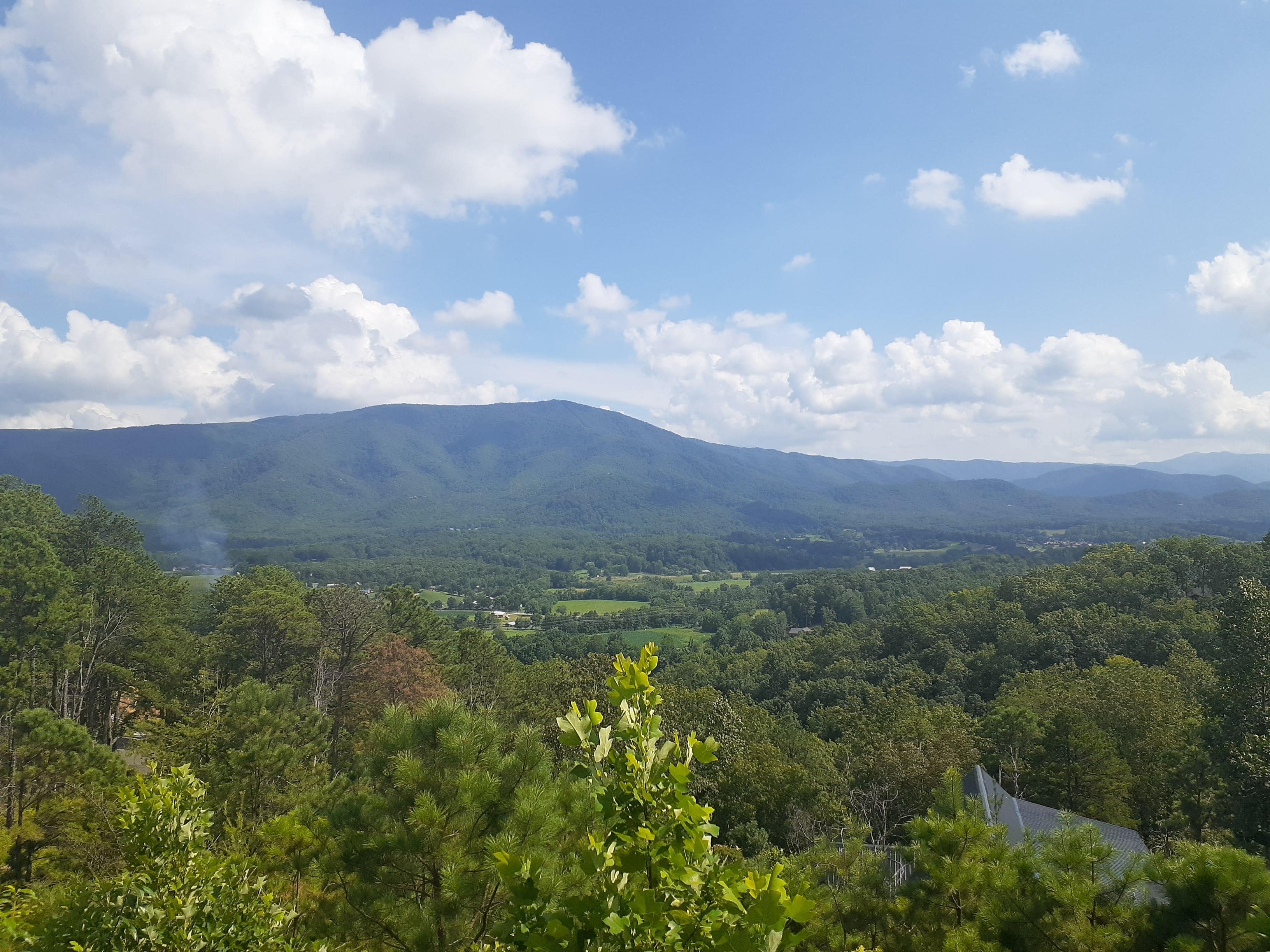 Our view from the deck of the cabin.  