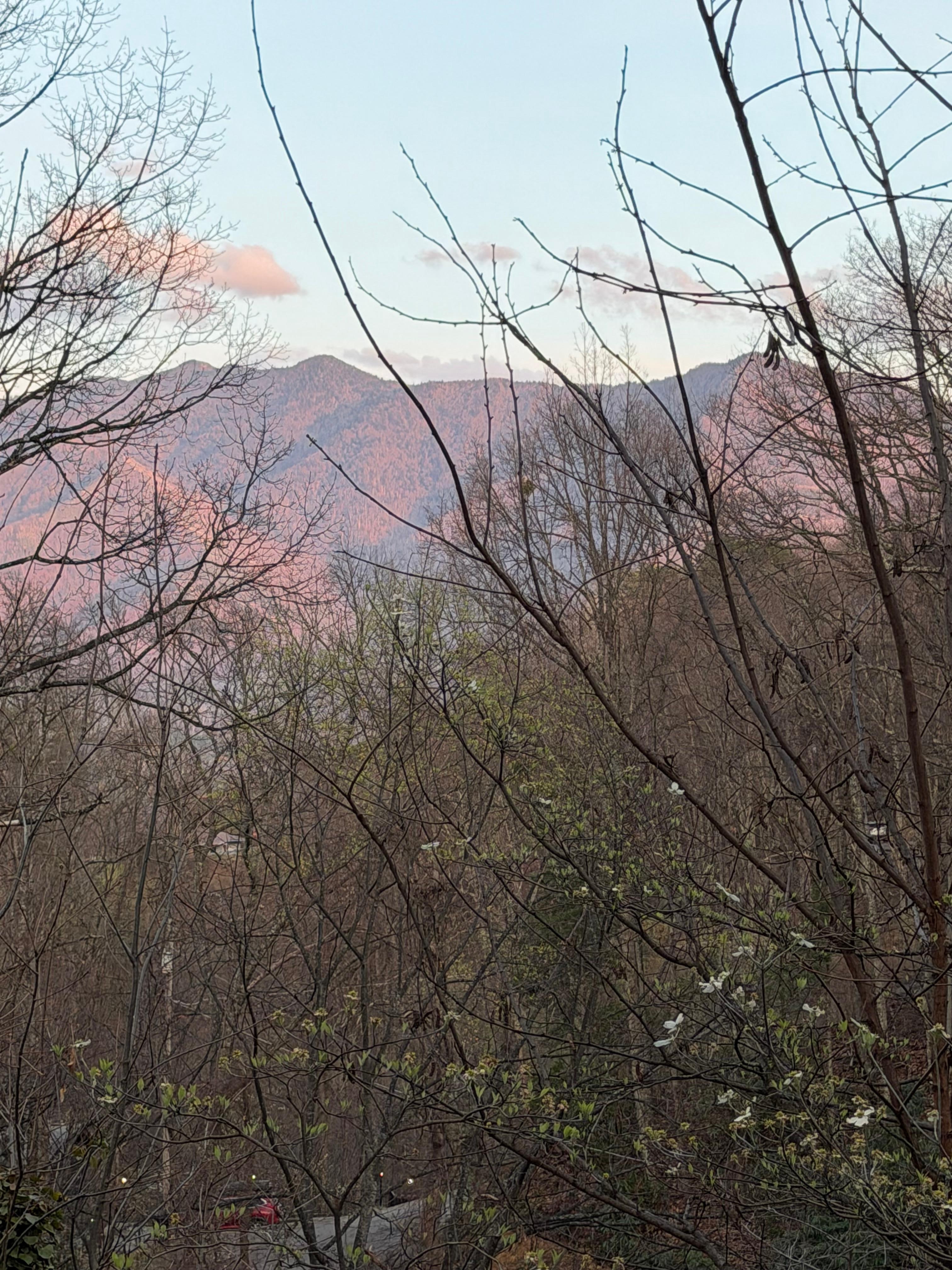 View from the upper deck