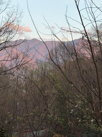 View from the upper deck