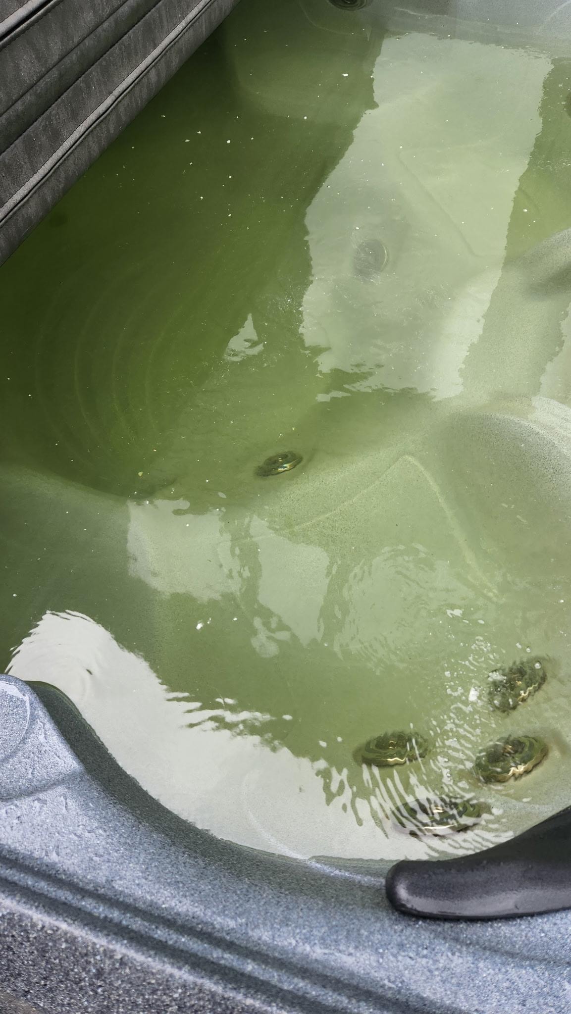 Pictures of the hot tub water that was absolutely disgusting. You can see the green and the floating white chunks.