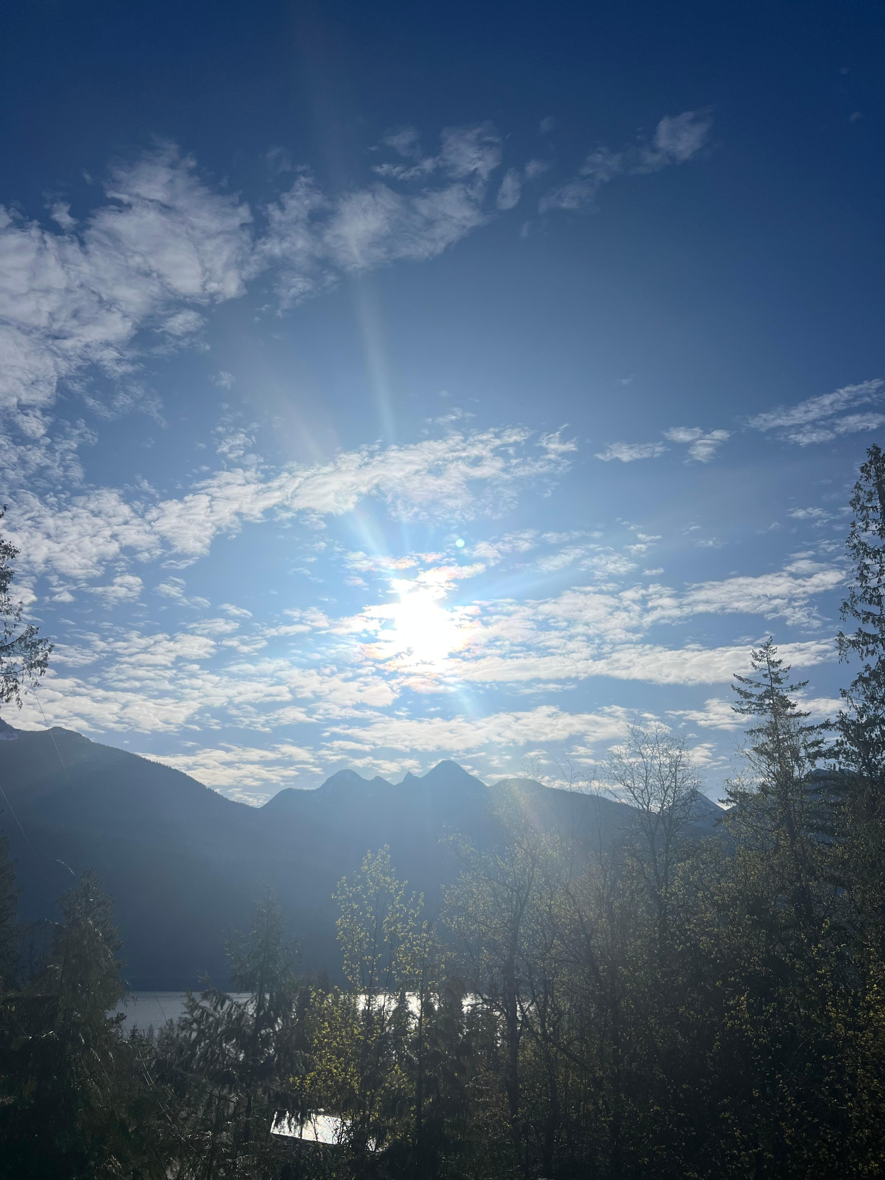 Morning view from driveway 