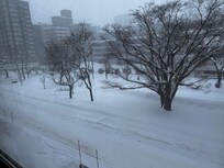 部屋の窓から見た景色。数年に一度の大雪とのこと