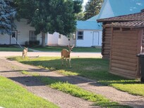 They came to say goodbye as we were leaving.